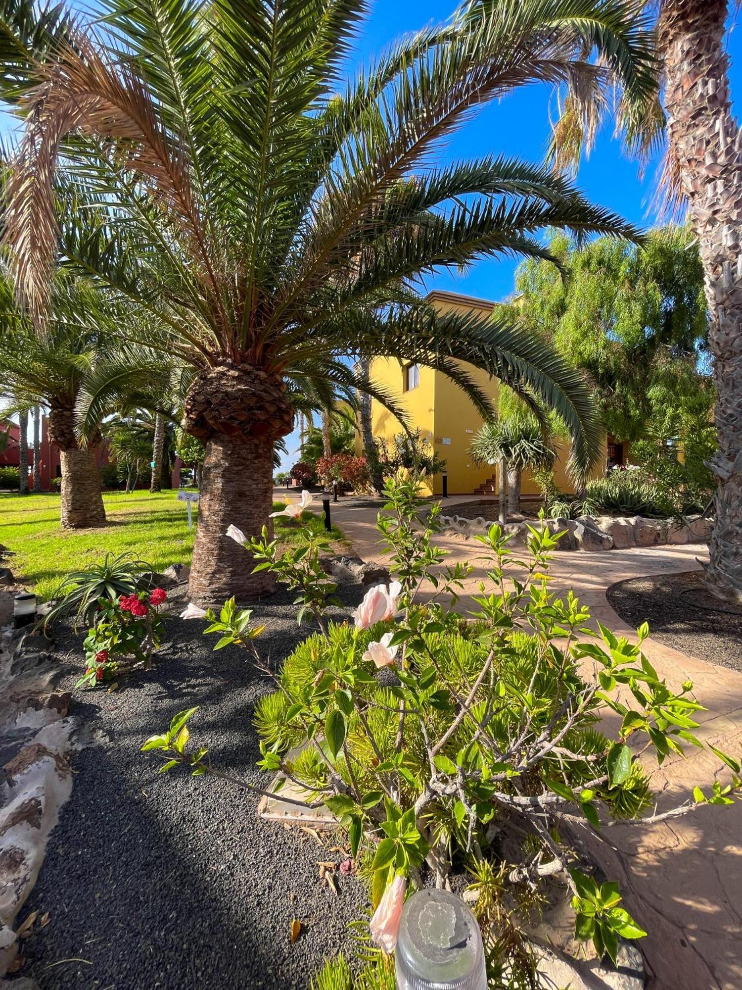 Karol Home By Best Holidays Fuerteventura Corralejo Exterior photo